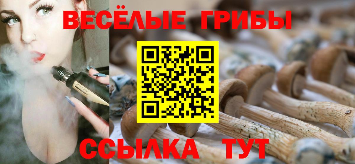 Галлюциногенные грибы мухоморы  Вход с VPN  Урус-Мартан 
